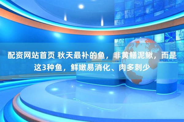 配资网站首页 秋天最补的鱼，非黄鳝泥鳅，而是这3种鱼，鲜嫩易消化、肉多刺少