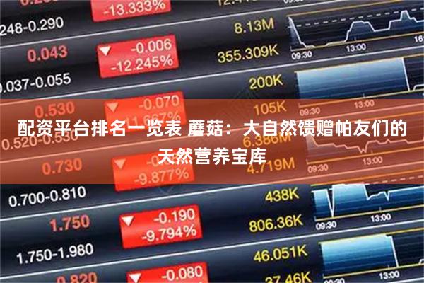 配资平台排名一览表 蘑菇：大自然馈赠帕友们的天然营养宝库