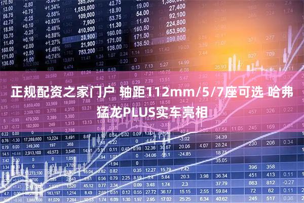 正规配资之家门户 轴距112mm/5/7座可选 哈弗猛龙PLUS实车亮相