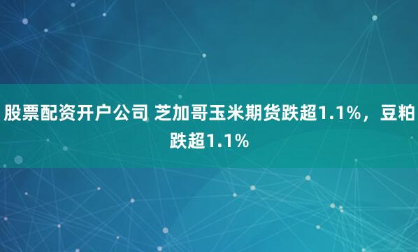 股票配资开户公司 芝加哥玉米期货跌超1.1%，豆粕跌超1.1%